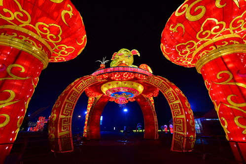 元宵花灯盛宴，传统节日璀璨焦点