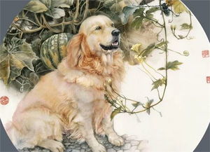 属狗的朋友注意啦!