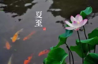 祭神祀祖？ 那是老掉牙了