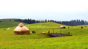 1. 随机马背骑行——“谁坐谁上”