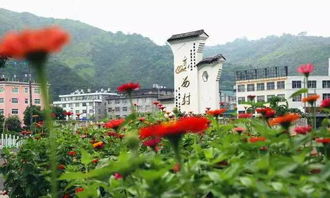 工业生产文化底蕴体验——坎门汽车文化底蕴博物馆