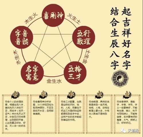 三、  起名灵感来源与创作