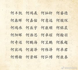 何姓男孩名字：全方位考察