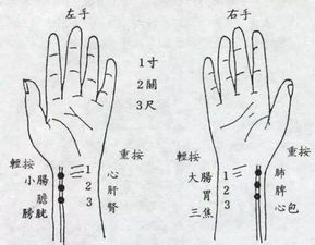相爱相杀！八卦里的塑料姐妹情！