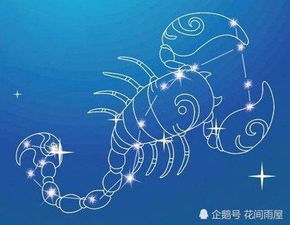 2026年属虎天蝎座每月运势中，学业运势具体表现如何？
