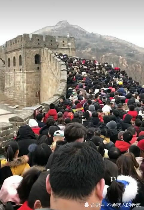 真实案例：游客的血泪控诉