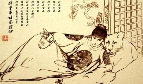 关于豹房