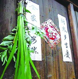二、生旺招运：财运生生不息的草本奥秘