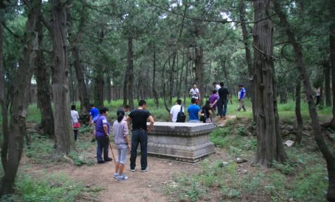 意外的发现与乱入的其他物种信息