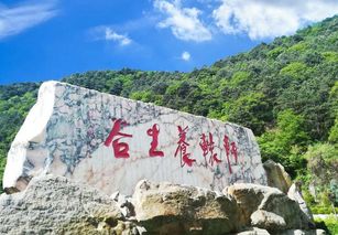 四、 感官盛宴——味觉、嗅觉与触觉交织体验