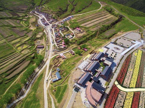 张家口设计的集体失智