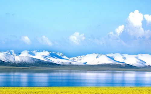 青海湖：中国最较大咸水湖（海拔3200米），7-8月湖畔油菜花盛开。较深蓝湖水与金黄花海构成印象派油画。