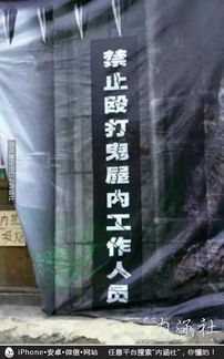 逃离现场与生肖冲撞