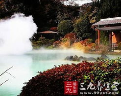 从“汤屋刺客”到“本地人心头优良”：天籁的逆袭逻辑