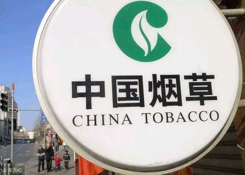 3. 随机灵感来源（乱七八糟的灵感池）