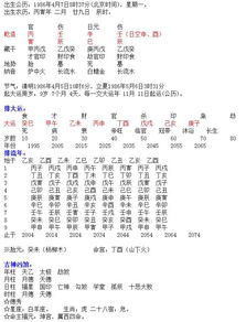 丙子丁酉八字组合如何解读？