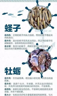 其他注意事项
