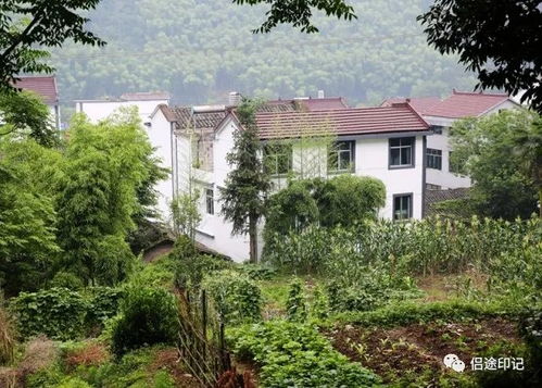 广东顺德农村风水,顺德风水