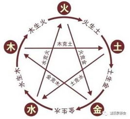 一、 先天八卦与生肖冲撞：鼠年谢氏起名乱象