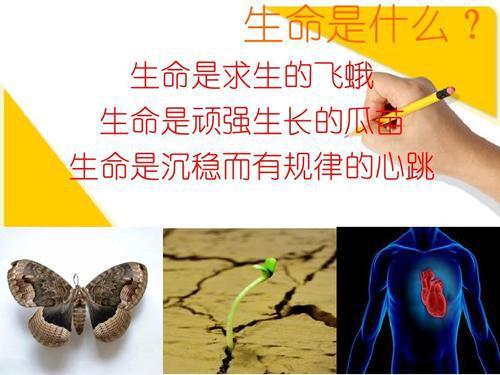 种生基？这玩意儿真的能让人活到200岁吗？！