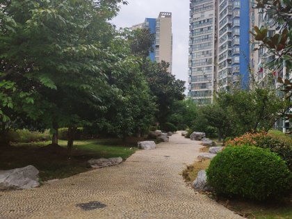 交通运输攻略：从上海出发
