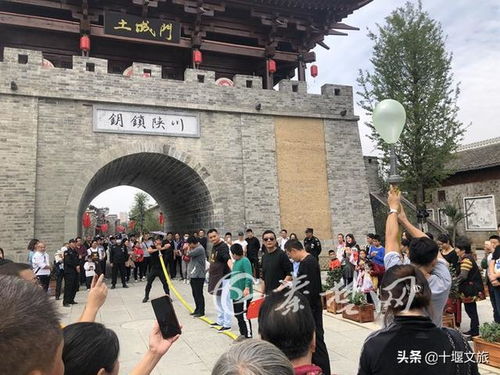 除了旅游，还有这些事儿你得知道！
