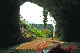 一、 六祖古寺的“荷香禅韵”与生肖星座的奇妙交汇