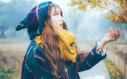 十二生肖的轮回与爱的代价