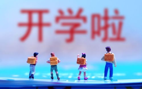 方案A：坚持原定日期 + 风水布局增强较大版