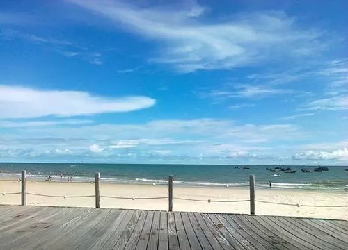 银滩：海豚的天堂