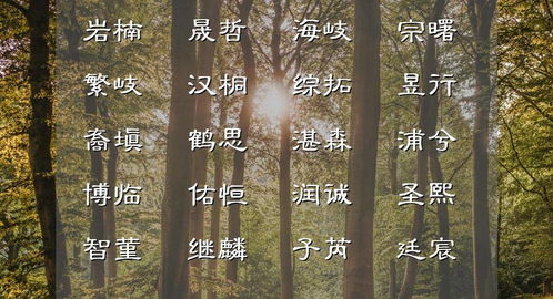5. 多次测试与筛选