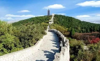 交通省钱全靠演技