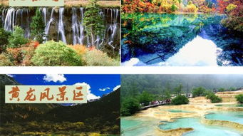 啊啊啊！2026年四川旅游指南！不看后悔一辈子！