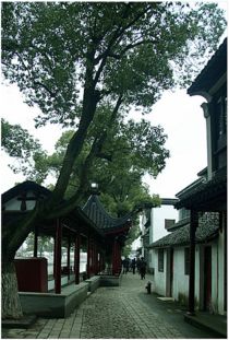 苏州**阳澄**湖游玩攻略如下：