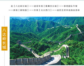 A. 时间规划（不一定要精准）