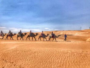 响沙湾：风吹沙动乐无穷