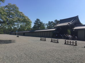 京都旅游，别再当