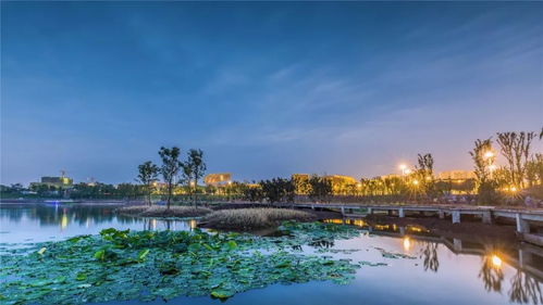 双桂湖景区：水光山色， 浪漫水乡