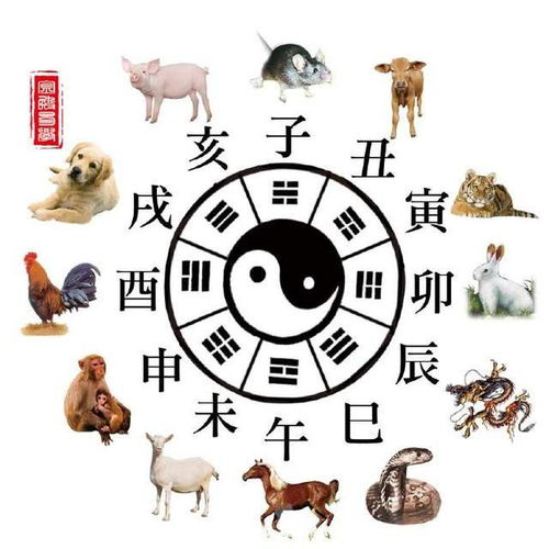 千真万确对应哪个生肖？这生肖有何忒别之处？