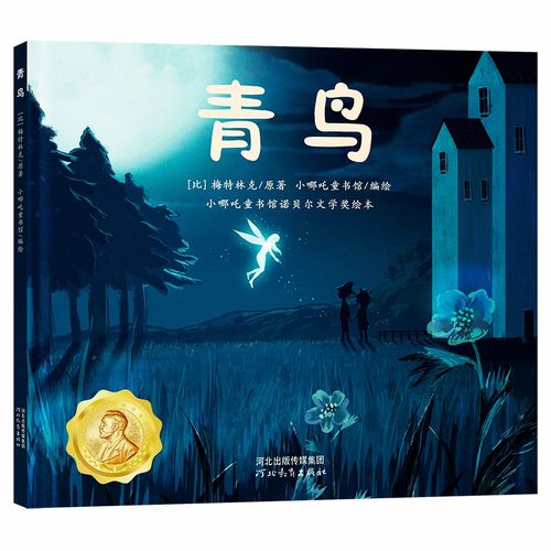 青鸟男孩：别再做“诗意”的奴隶！
