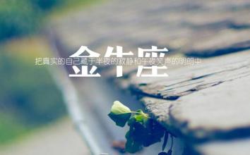 感情？什么感情？