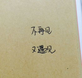 独特的个性情侣网名：甜蜜共鸣的体现