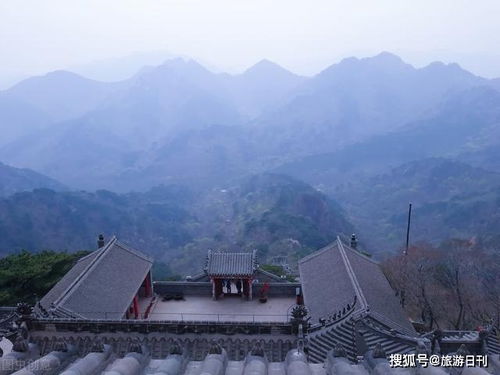 跑马岭的绿色时光