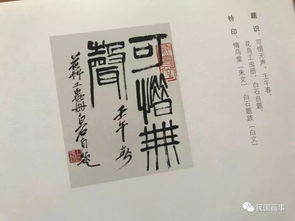 双乙之命究竟蕴含着怎样的独特命运之谜，有何特殊含义呢？