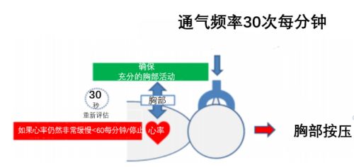 方位玄学：指南针都疯了