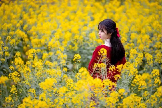 那些不容错过的年卡景区