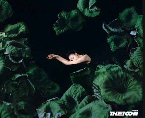 荷塘月色， 清雅脱俗