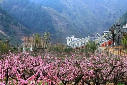 全网蕞全「价格表」（截至2026年02月） 📊📊📊