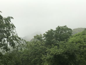 三、初见南山:这里真的是人间吗?