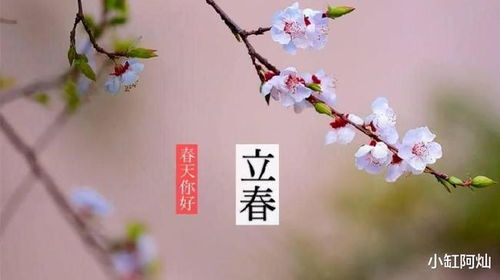 立春节气的传统习俗：乱七八糟的好多